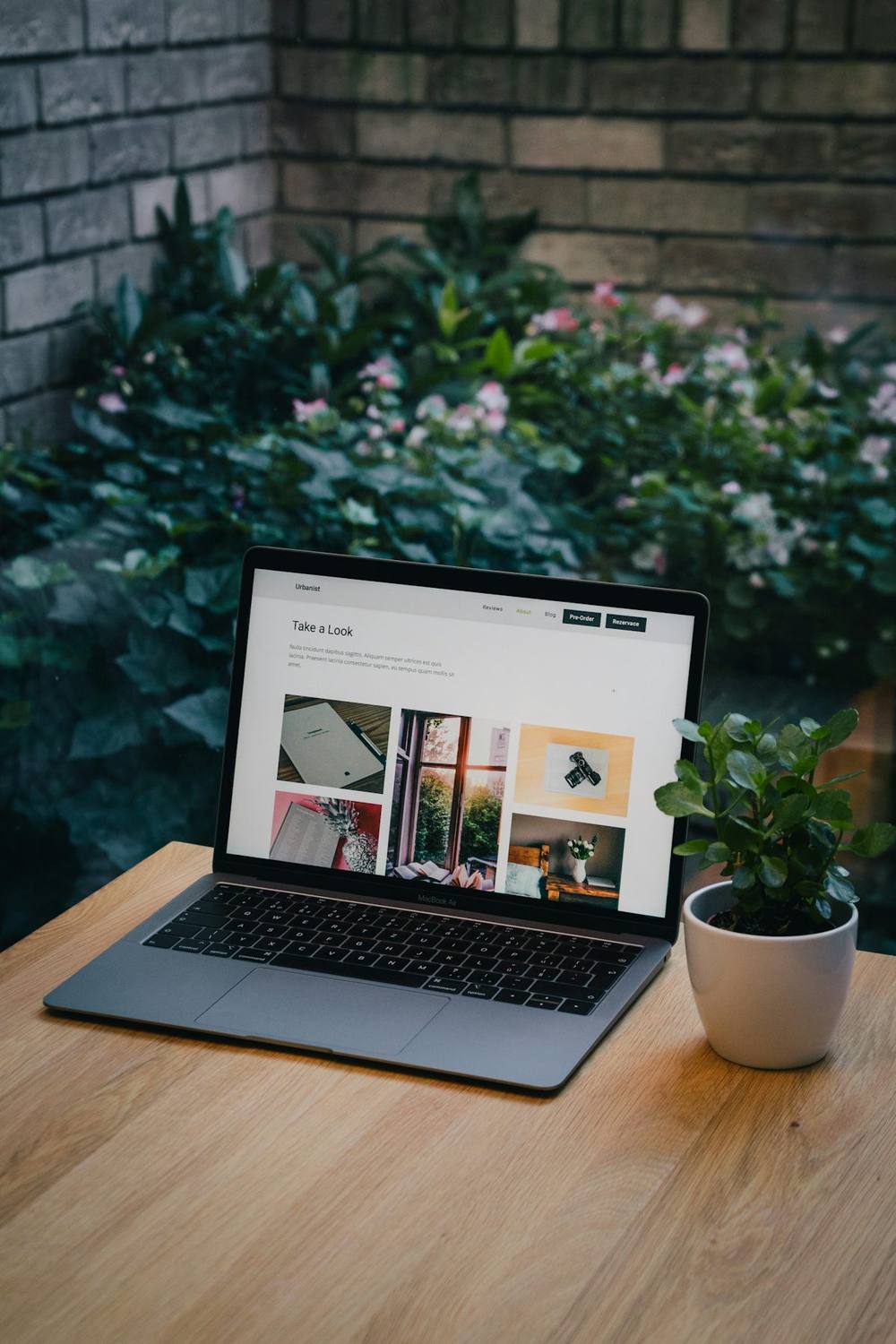 Laptop aberto sobre uma mesa de madeira mostrando um site, com um vaso de planta ao lado